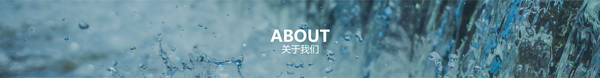 环球体育平台(北京)有限公司